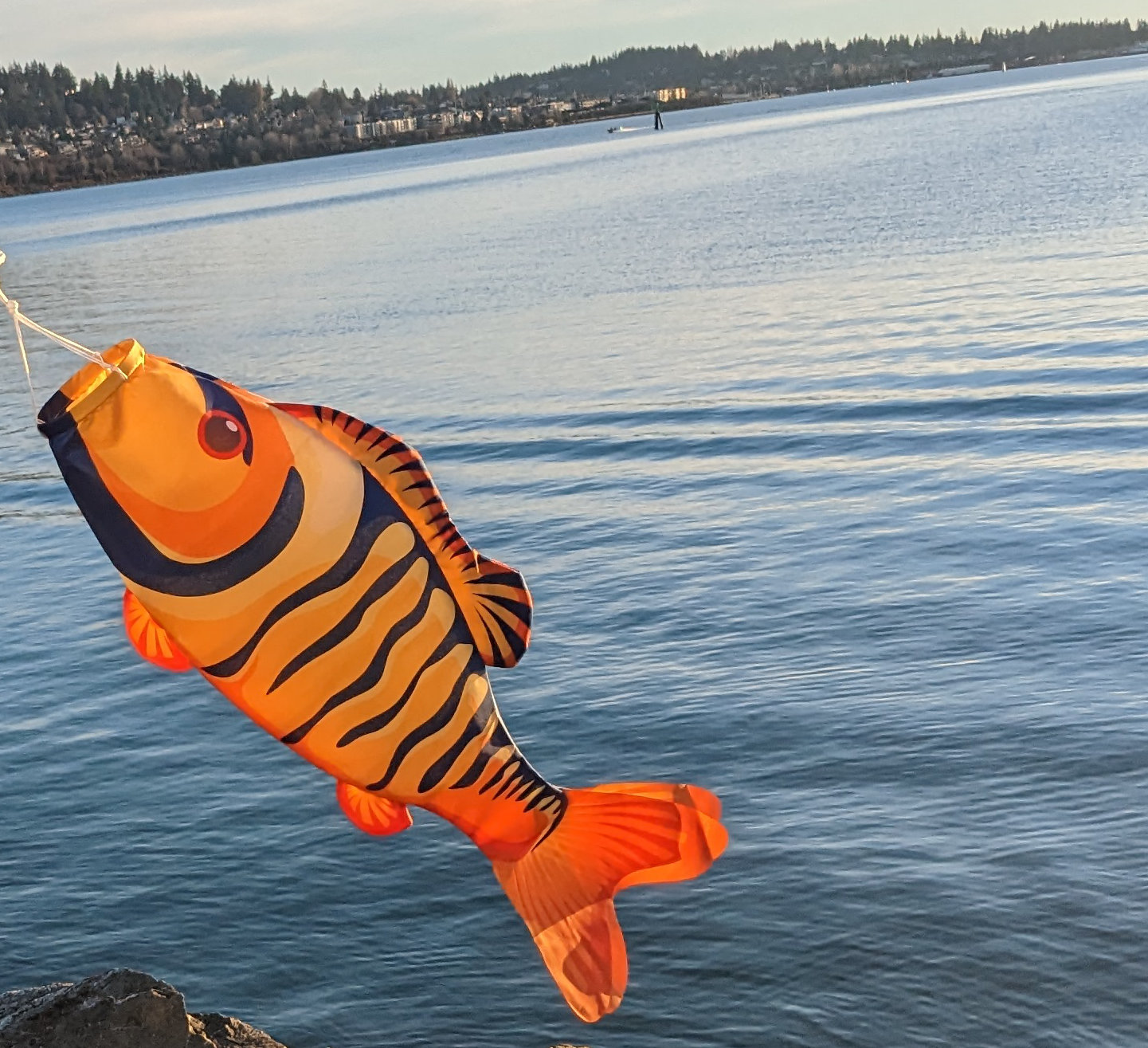 Tiger Fish Windsock, Durable Outdoor Hanging Decoration, 32-Inch -  Madrona Brands